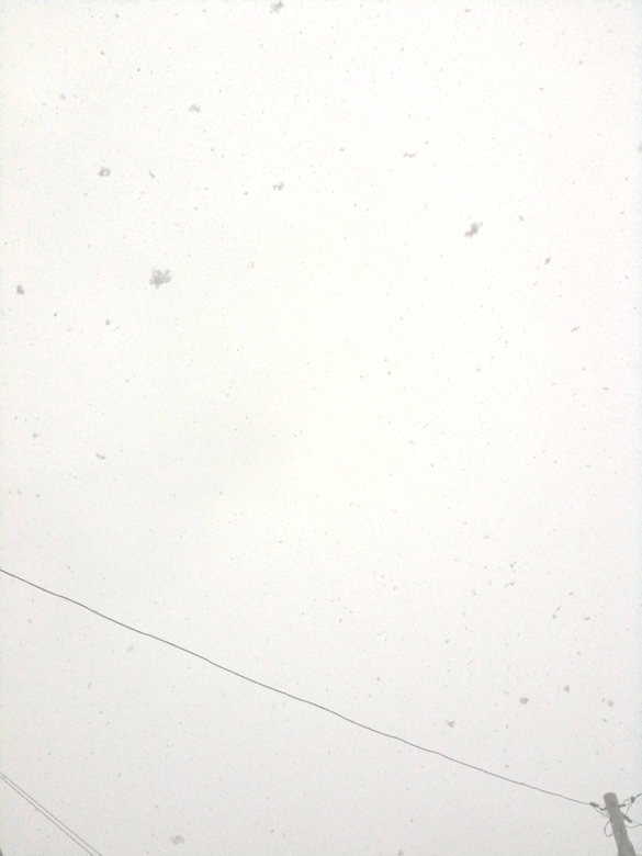 あけましておめでとうございます。