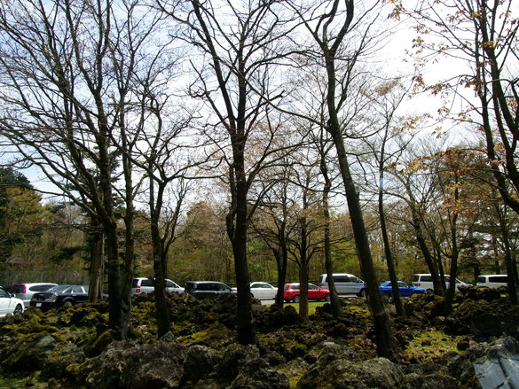 クルマの放し飼い？