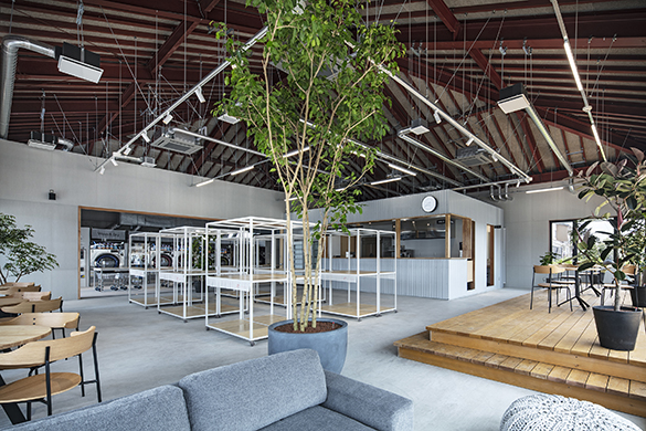 報告的なこと、ふたつ。