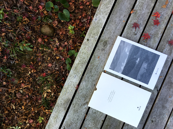 紅葉とsnow peak。