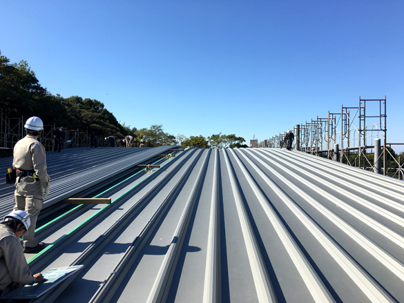 にょきにょき。