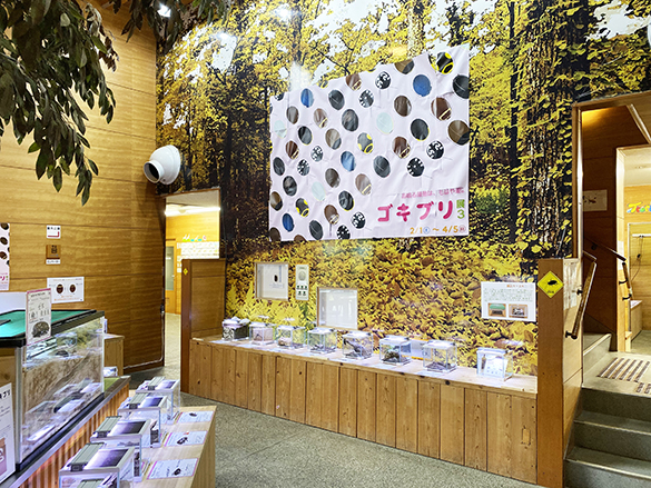 ゴキブリを楽しむ。