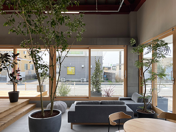 koenopzny_03 - s.JPG