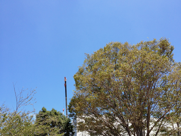 中学校の屋外階段。