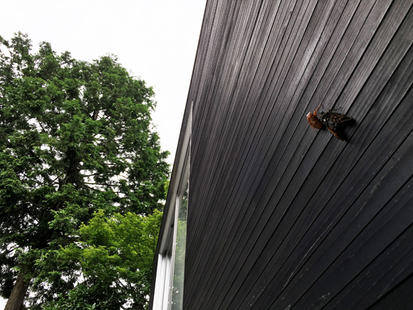 モンスターもいます。