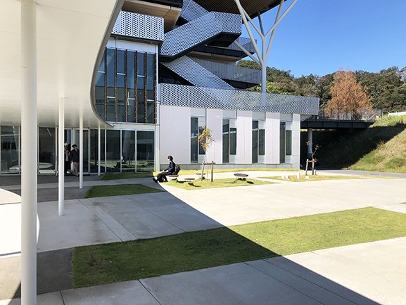 新しい建築学科で。