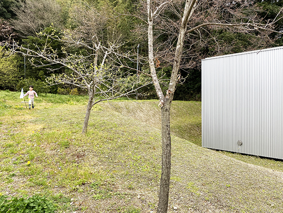 snknsn_202003_09 - s.JPG