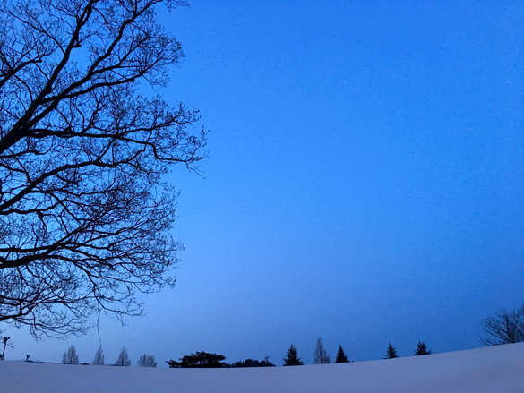 研修旅行2日目。