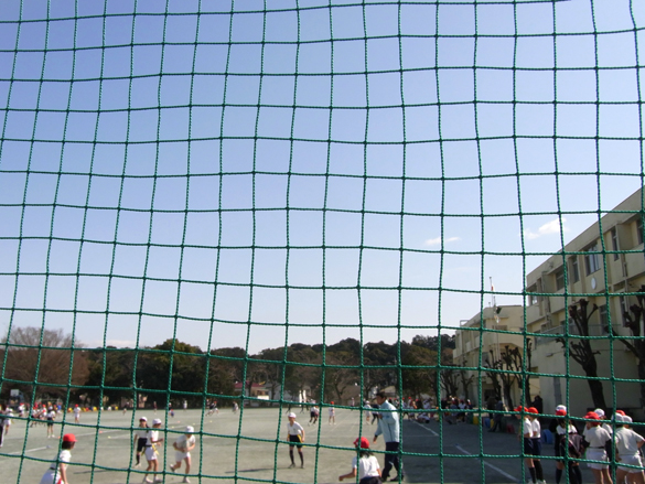 やさしいらぐびー。