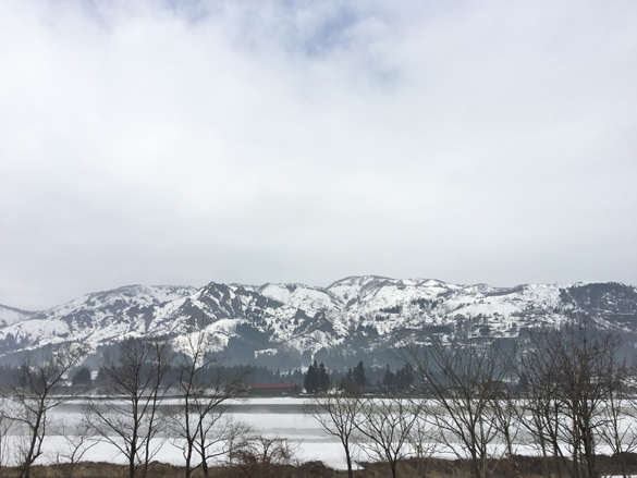 tawacam_17_01_06 - s.JPG