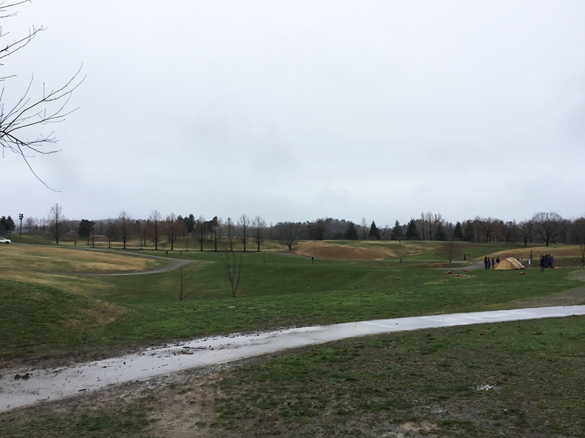 tawacam_17_01_09 - s.JPG