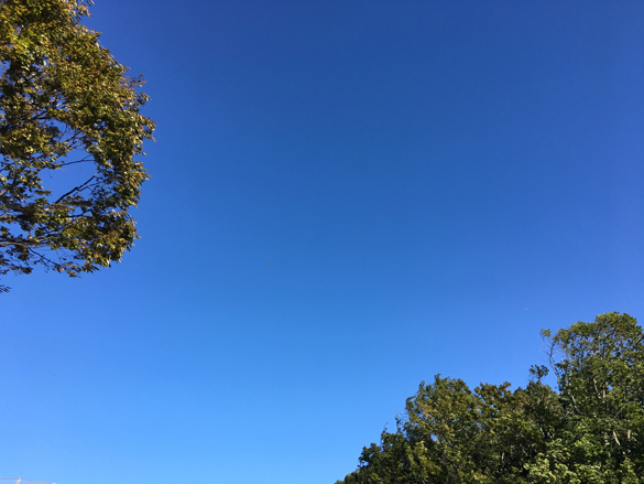 ひさしぶりの青。