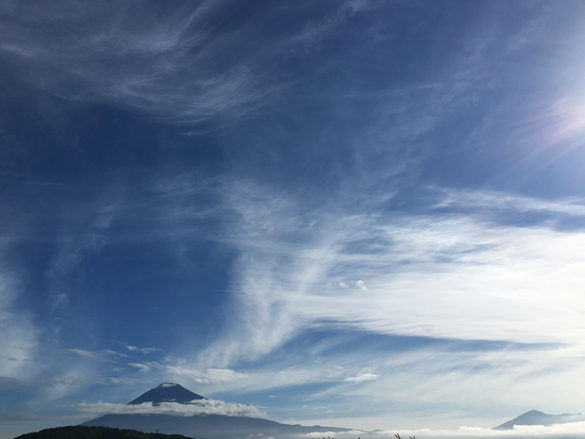 東京いろいろ。