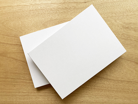 真っ白な無地の図面ケース。